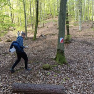 ORIENTATOR wiosna 2026