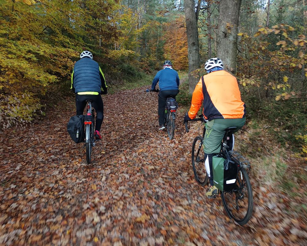 Rowerowa Setka z ARKUNem (Wysokie)